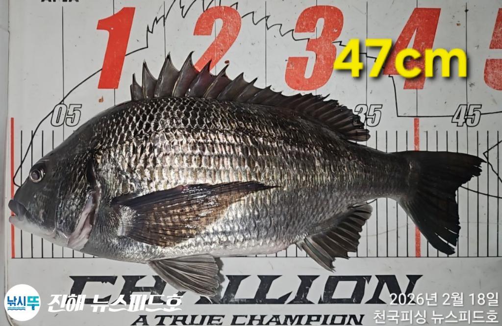 낚시뚜,,진해행암항,진해 뉴스피드호,낚시뚜24