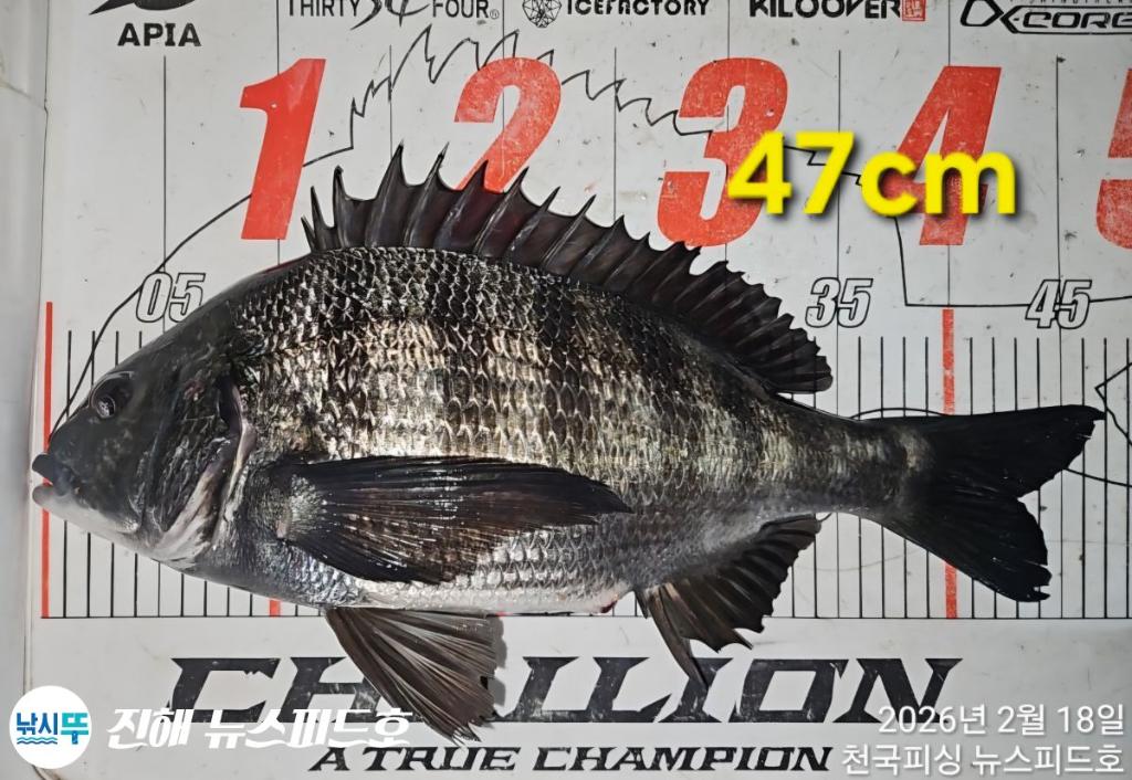 낚시뚜,,진해행암항,진해 뉴스피드호,낚시뚜23