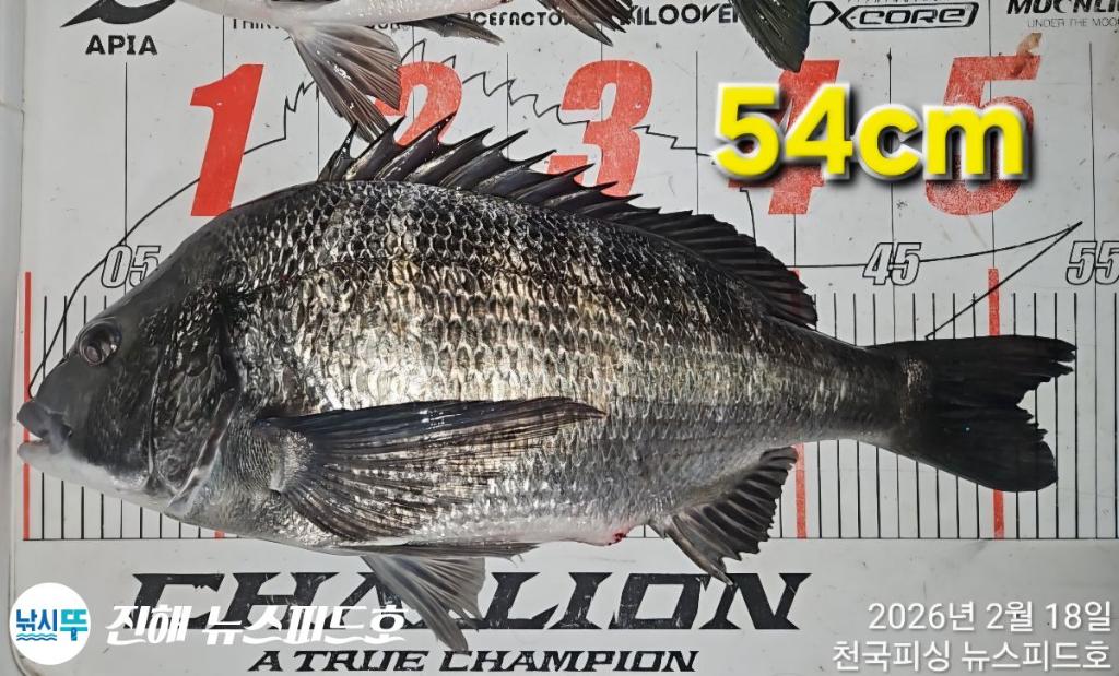 낚시뚜,,진해행암항,진해 뉴스피드호,낚시뚜21