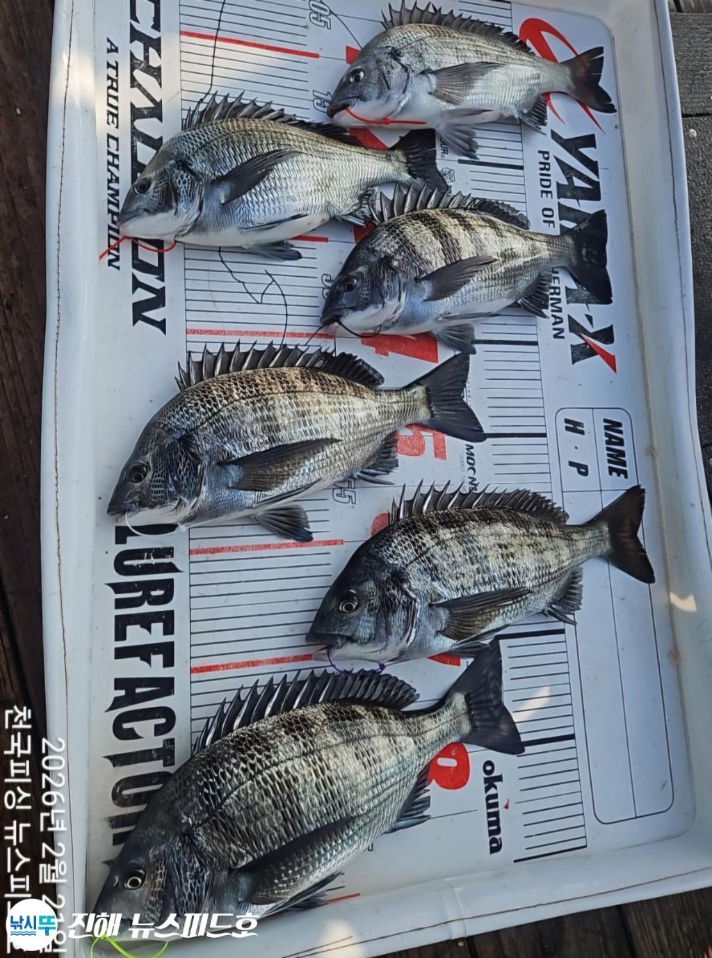 낚시뚜,,진해행암항,진해 뉴스피드호,낚시뚜19