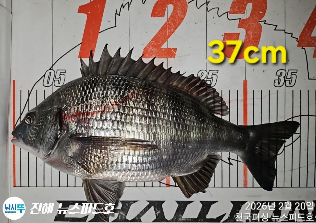 낚시뚜,,진해행암항,진해 뉴스피드호,낚시뚜17