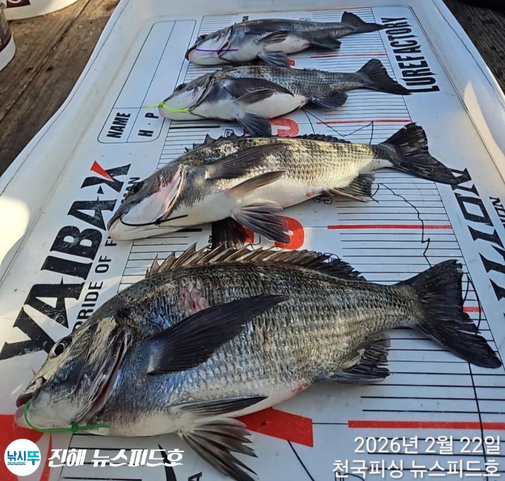 낚시뚜,,진해행암항,진해 뉴스피드호,낚시뚜10