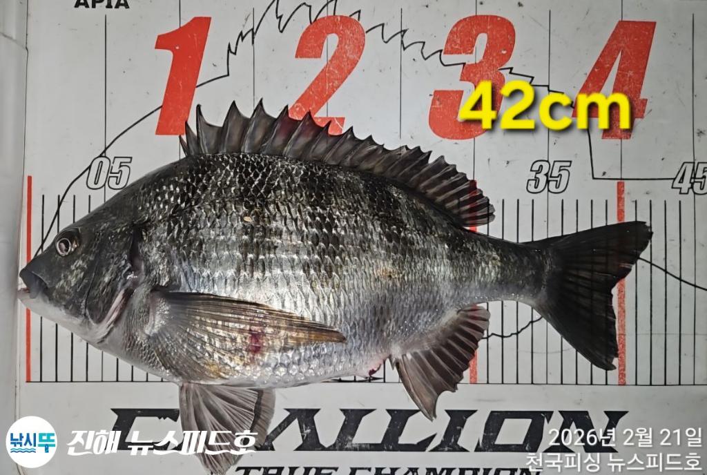 낚시뚜,,진해행암항,진해 뉴스피드호,낚시뚜6