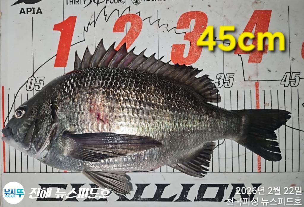 낚시뚜,,진해행암항,진해 뉴스피드호,낚시뚜5