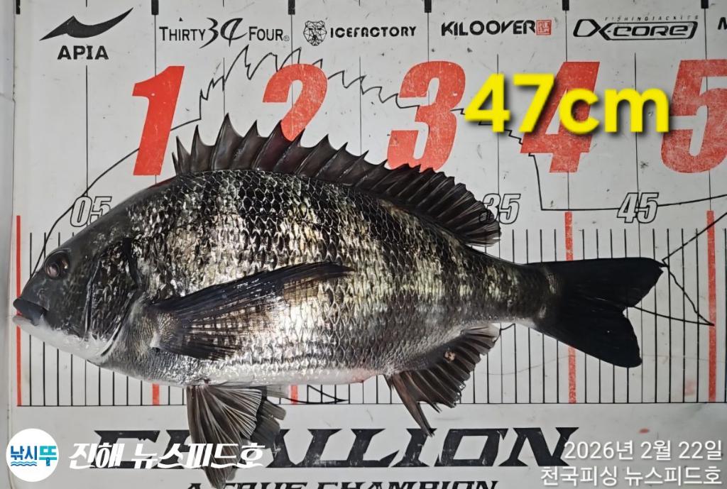 낚시뚜,,진해행암항,진해 뉴스피드호,낚시뚜4