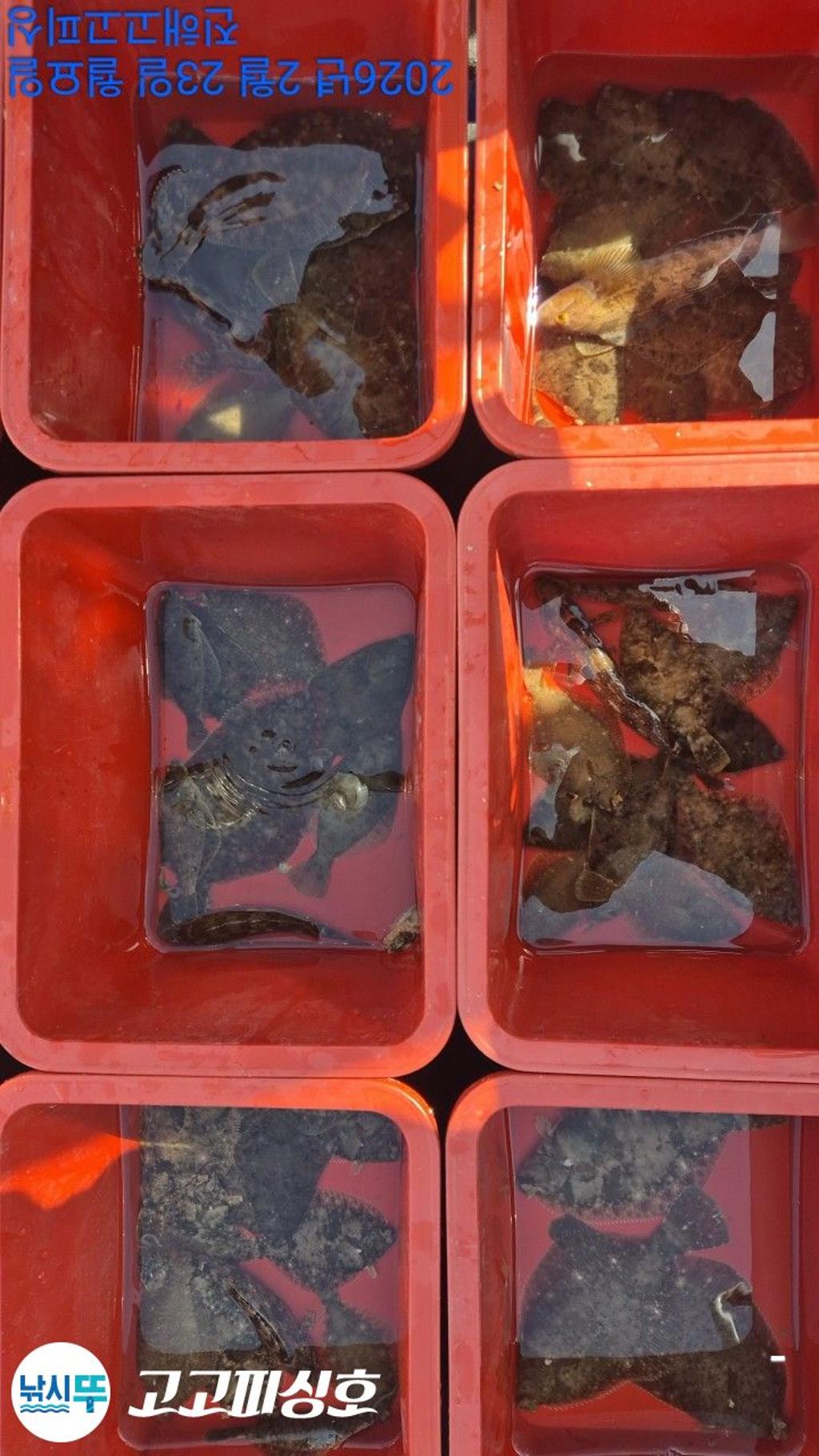 낚시뚜,,속천항(진해),고고피싱호,낚시뚜25