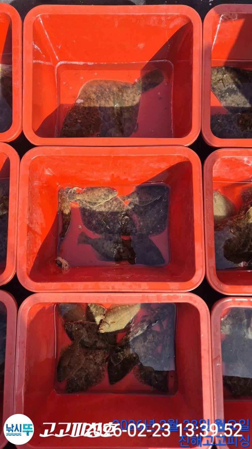 낚시뚜,,속천항(진해),고고피싱호,낚시뚜24