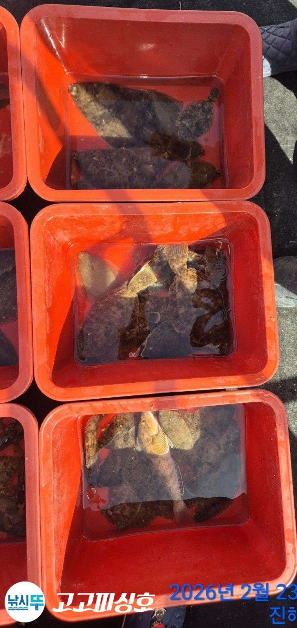 낚시뚜,,속천항(진해),고고피싱호,낚시뚜23