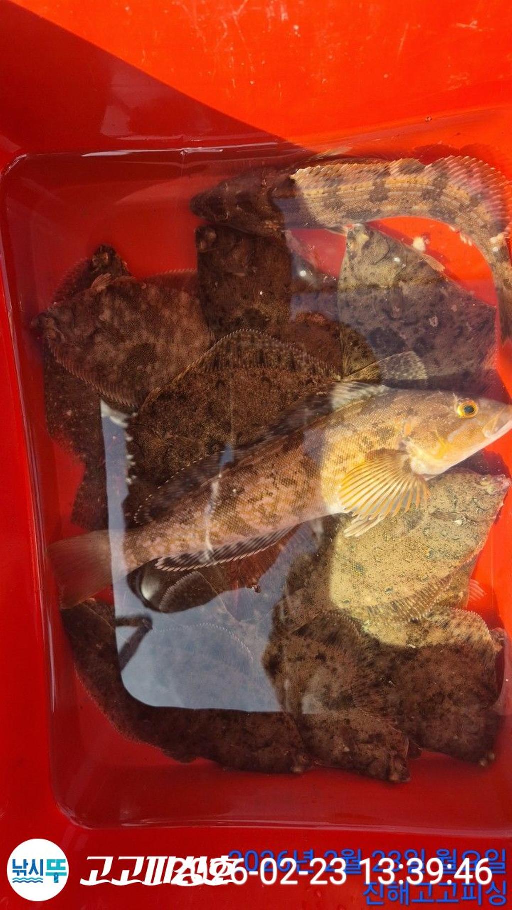 낚시뚜,,속천항(진해),고고피싱호,낚시뚜22