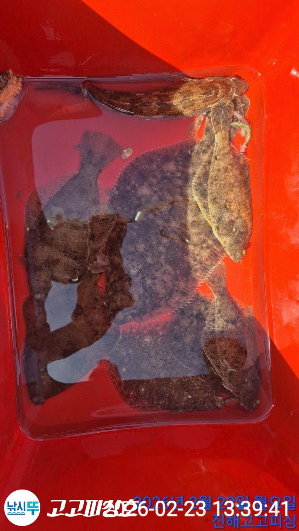 낚시뚜,,속천항(진해),고고피싱호,낚시뚜20