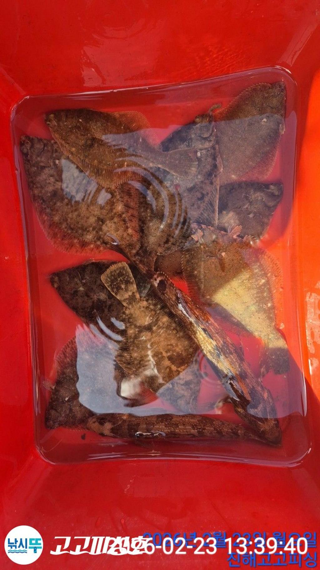 낚시뚜,,속천항(진해),고고피싱호,낚시뚜19