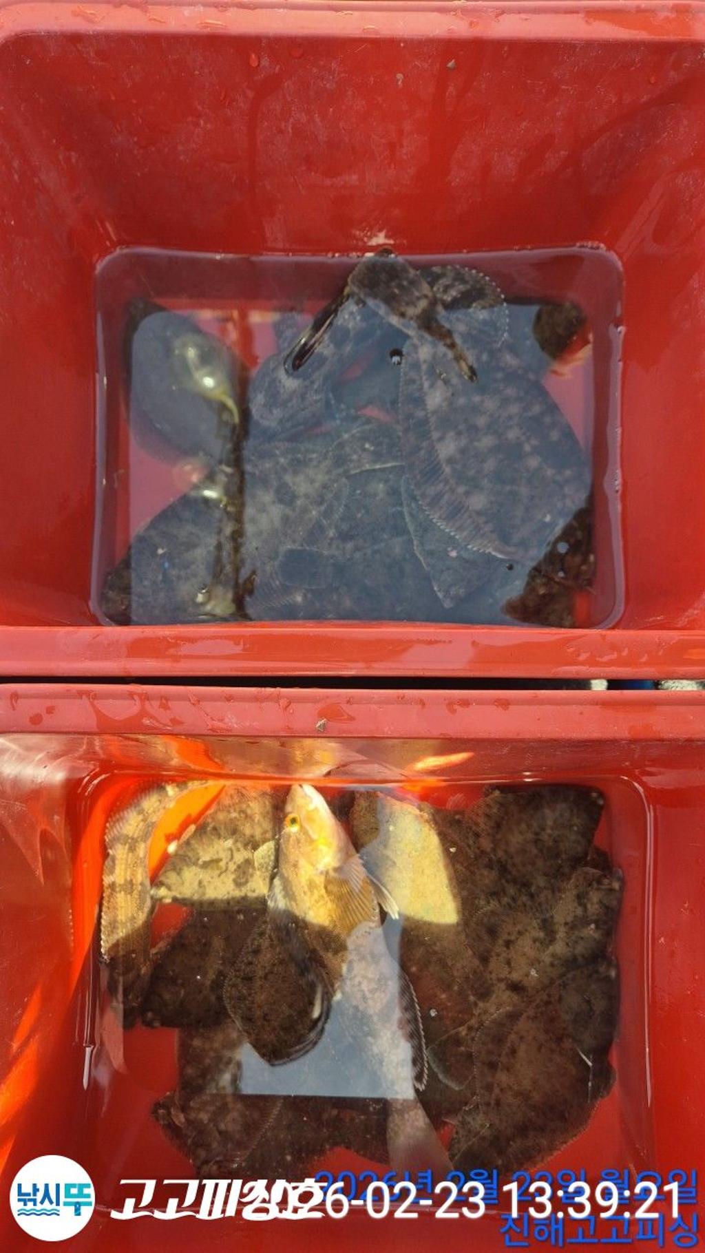 낚시뚜,,속천항(진해),고고피싱호,낚시뚜12