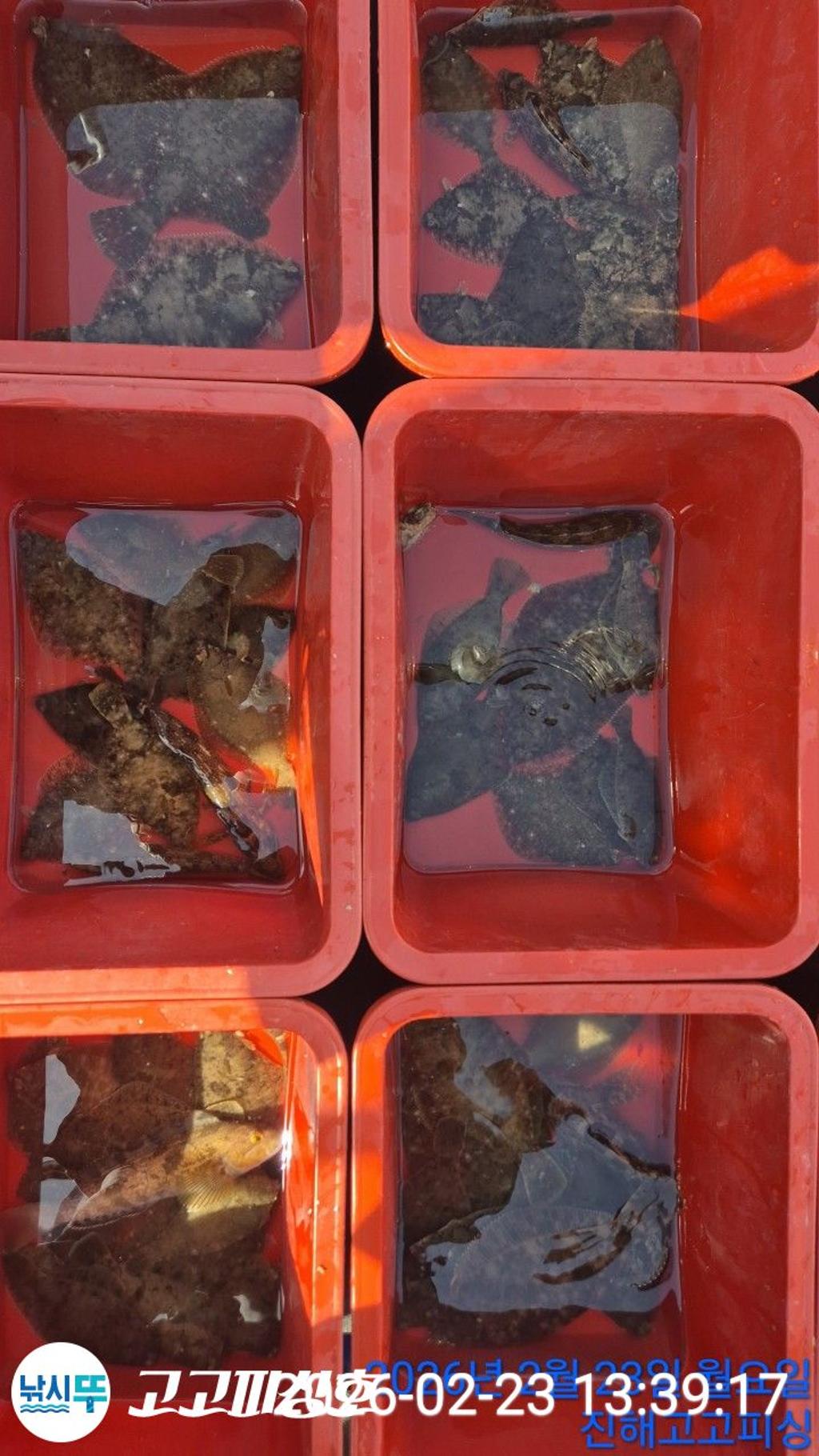 낚시뚜,,속천항(진해),고고피싱호,낚시뚜11