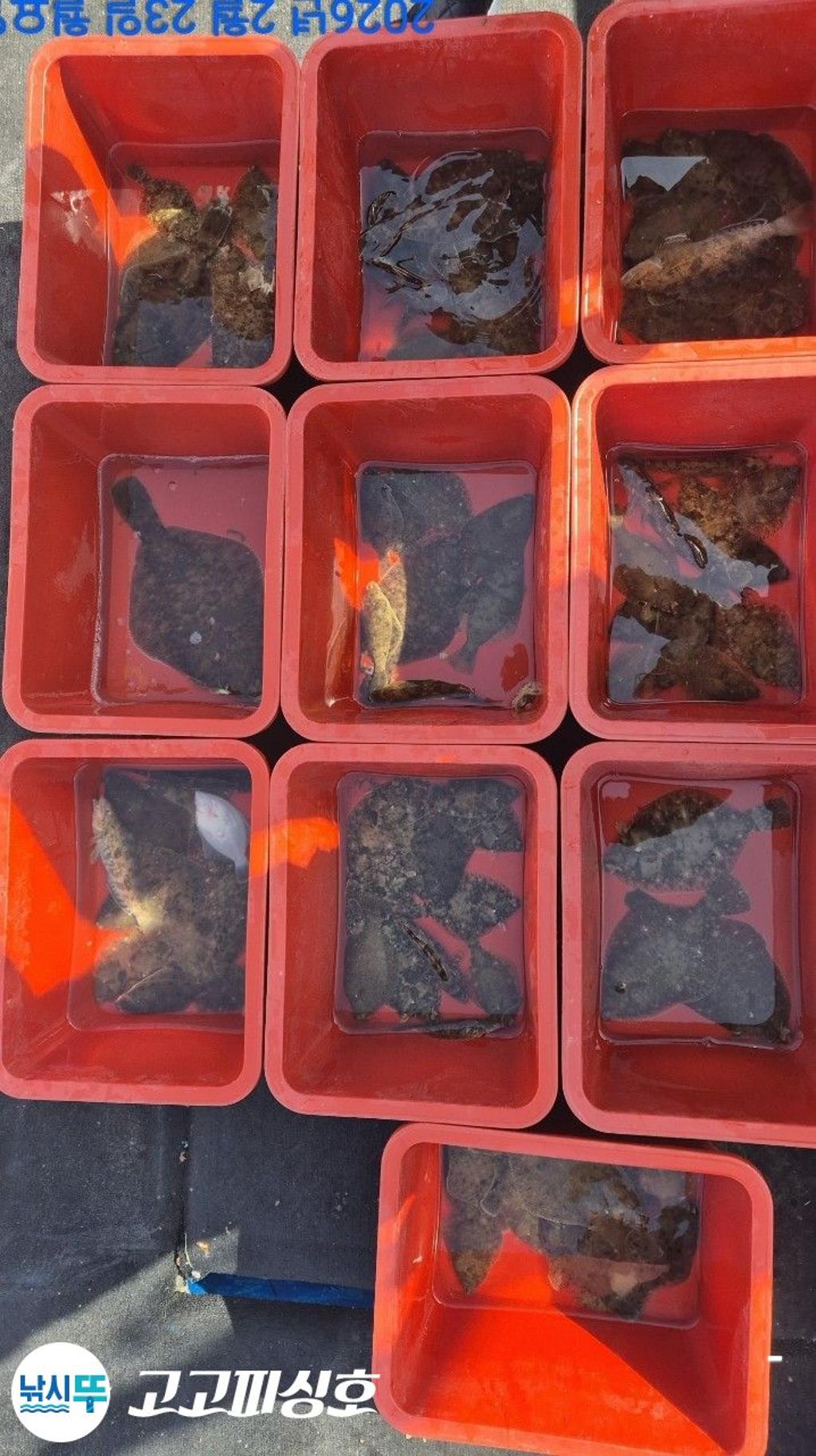 낚시뚜,,속천항(진해),고고피싱호,낚시뚜10