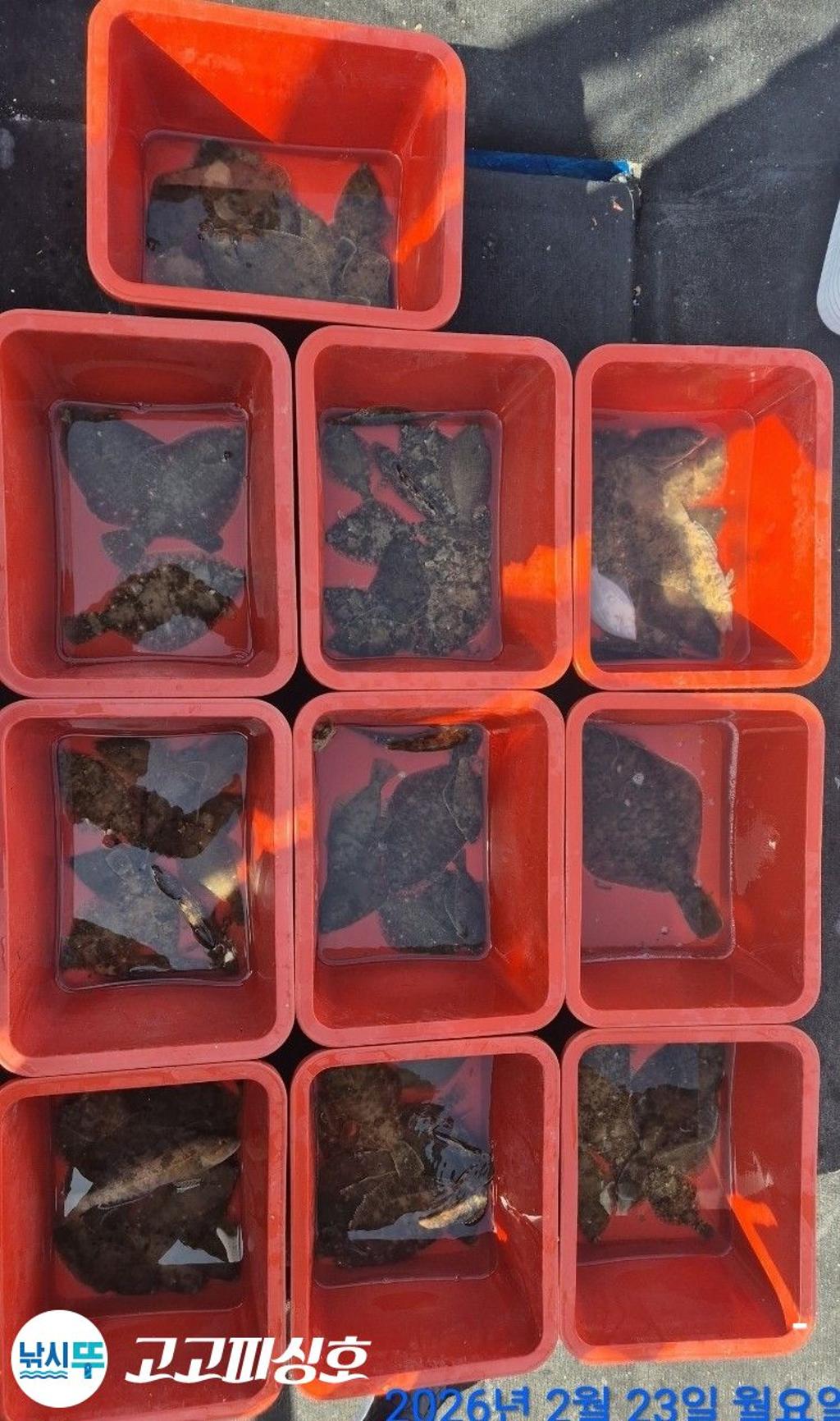 낚시뚜,,속천항(진해),고고피싱호,낚시뚜9