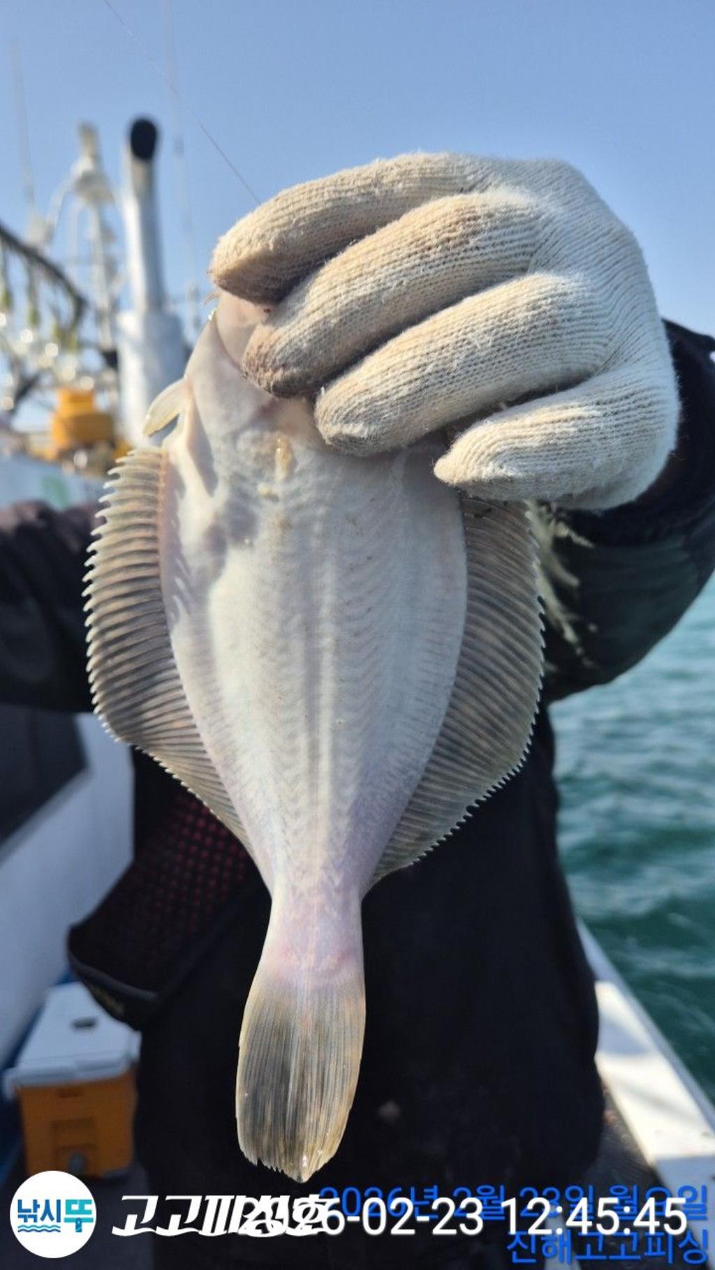 낚시뚜,,속천항(진해),고고피싱호,낚시뚜8