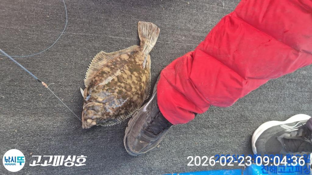 낚시뚜,,속천항(진해),고고피싱호,낚시뚜1