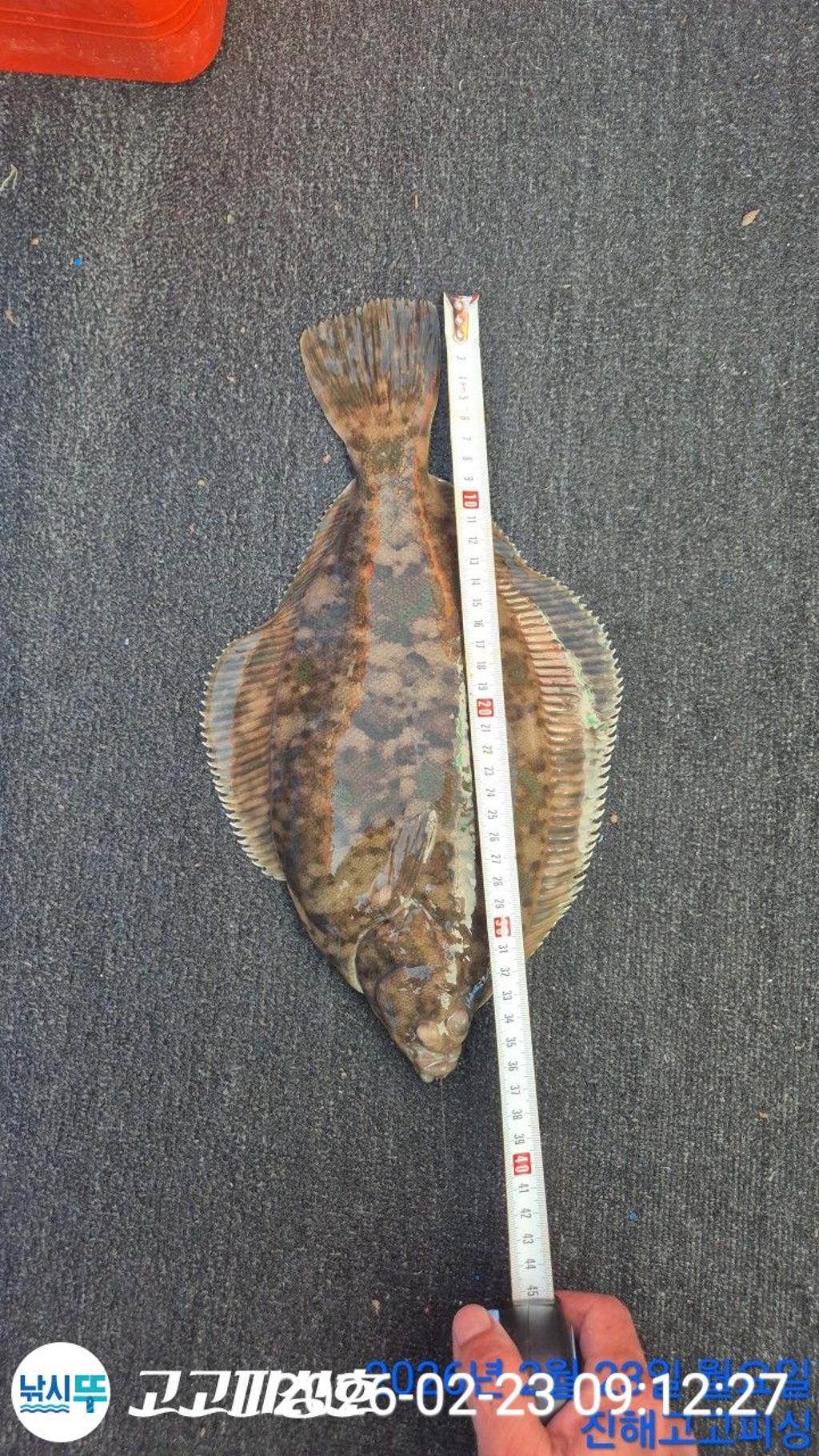 낚시뚜,,속천항(진해),고고피싱호,낚시뚜0