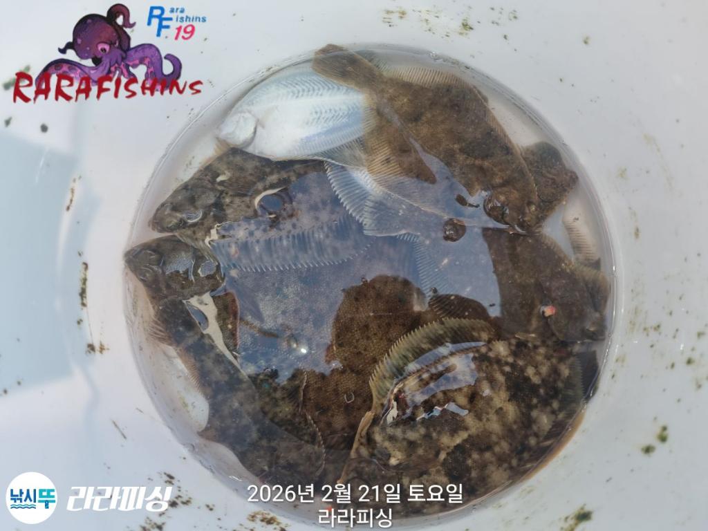 낚시뚜,도다리,속천항(진해),라라피싱,낚시뚜17