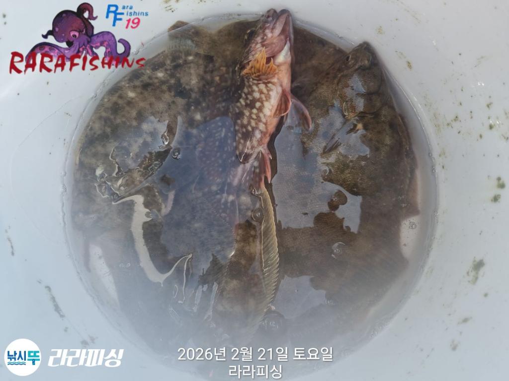 낚시뚜,도다리,속천항(진해),라라피싱,낚시뚜16