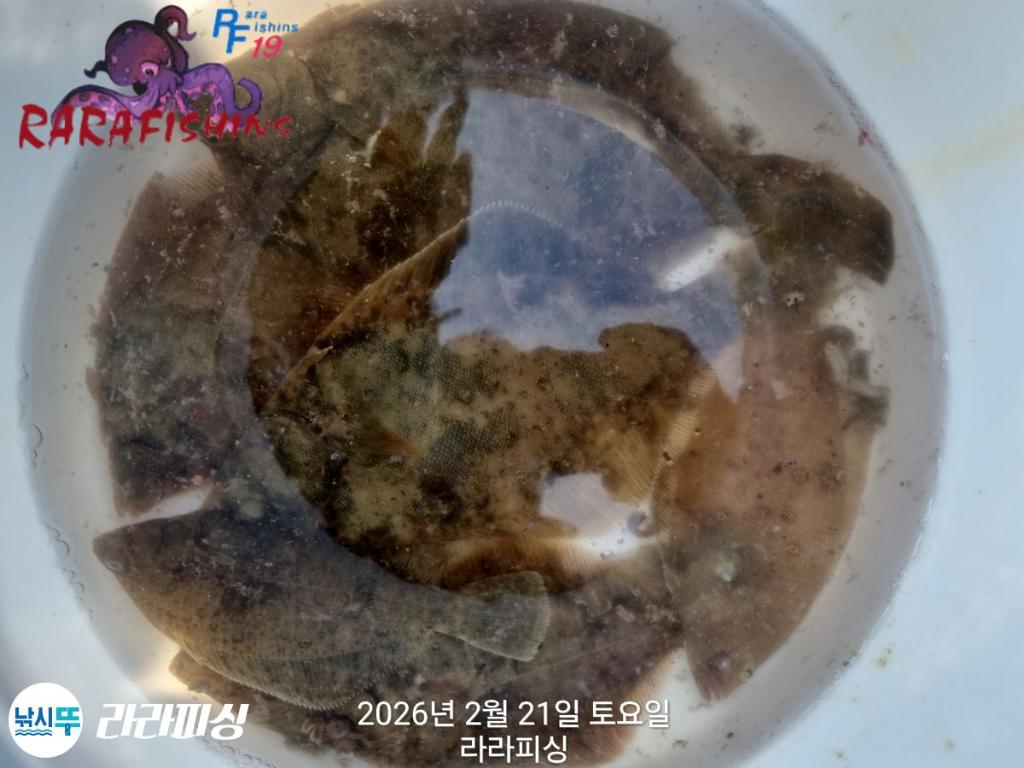 낚시뚜,도다리,속천항(진해),라라피싱,낚시뚜14
