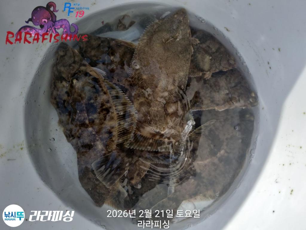 낚시뚜,도다리,속천항(진해),라라피싱,낚시뚜11