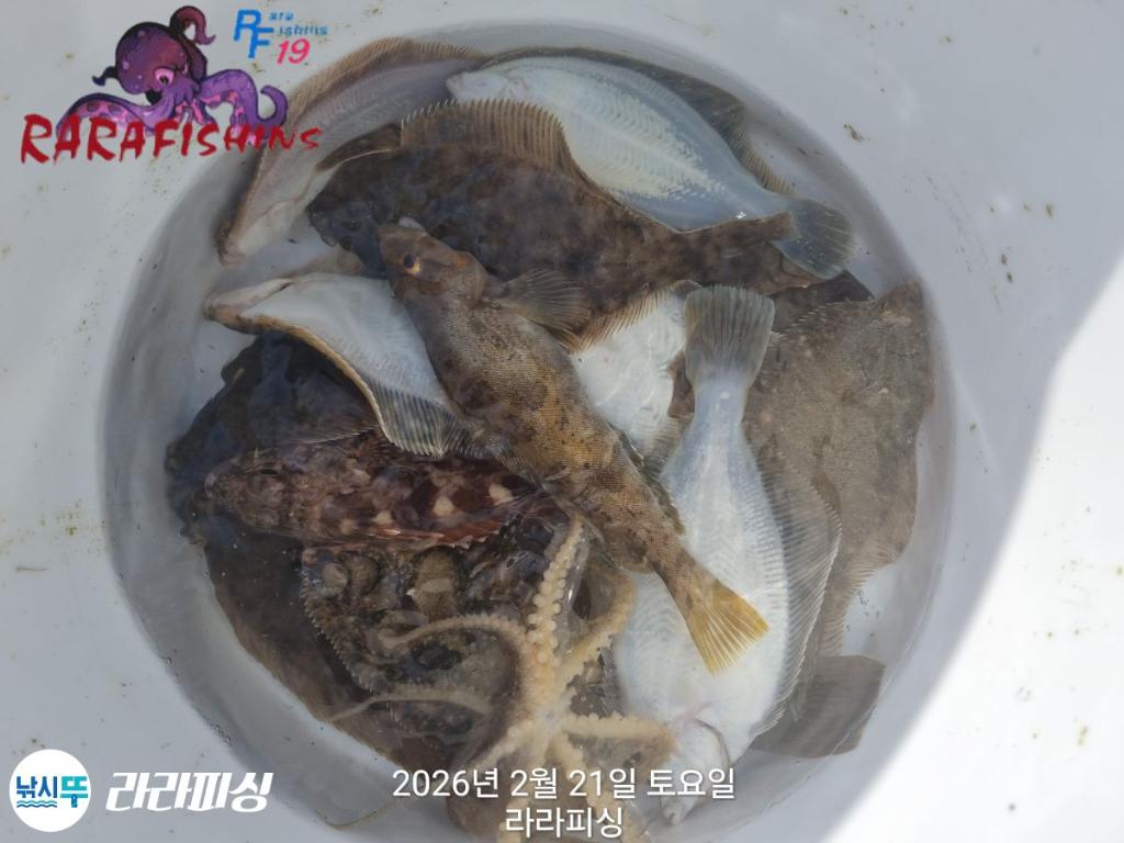 낚시뚜,도다리,속천항(진해),라라피싱,낚시뚜10