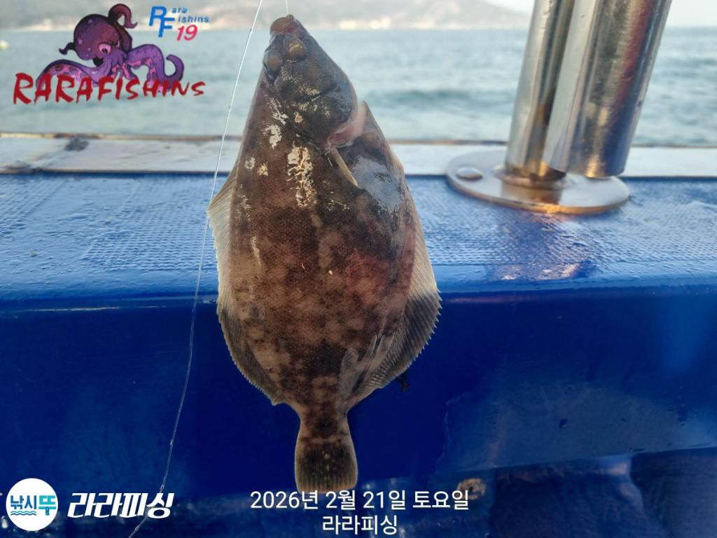 낚시뚜,도다리,속천항(진해),라라피싱,낚시뚜9