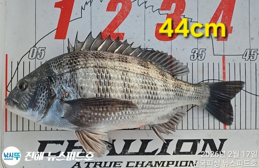 낚시뚜,,진해행암항,진해 뉴스피드호,낚시뚜26