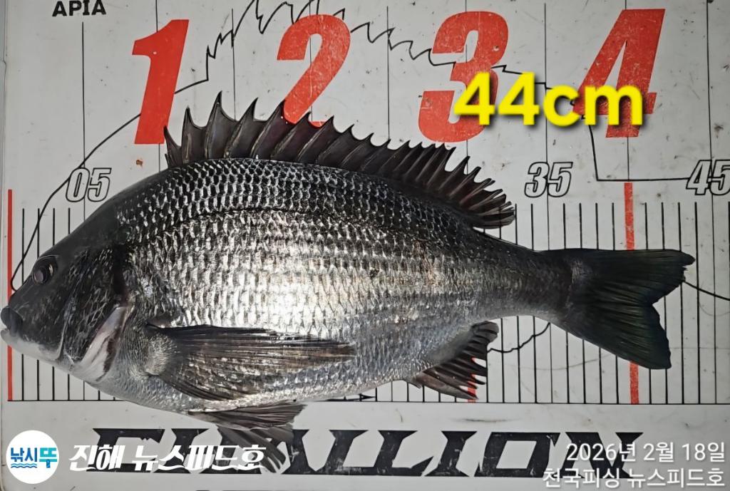 낚시뚜,,진해행암항,진해 뉴스피드호,낚시뚜17