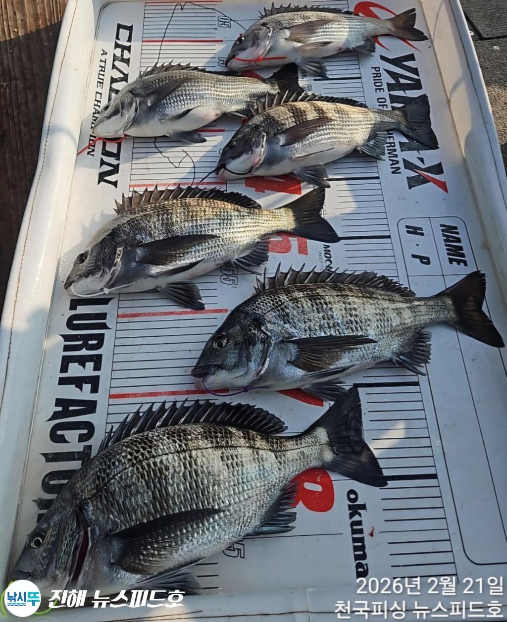 낚시뚜,,진해행암항,진해 뉴스피드호,낚시뚜14