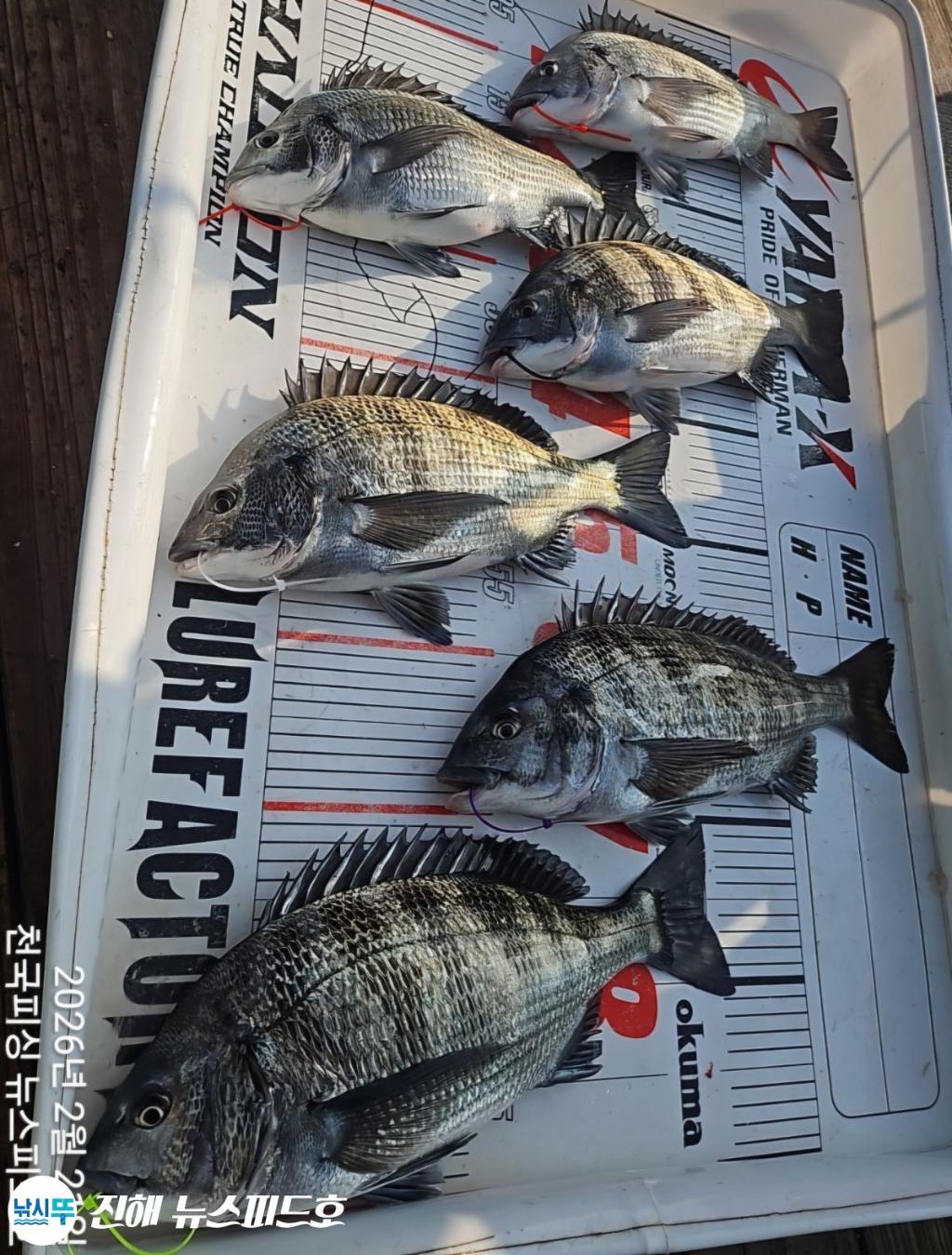 낚시뚜,,진해행암항,진해 뉴스피드호,낚시뚜12