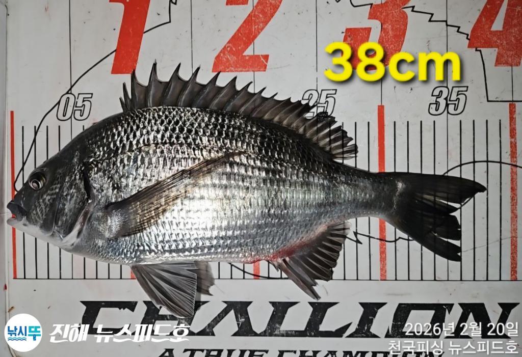 낚시뚜,,진해행암항,진해 뉴스피드호,낚시뚜11