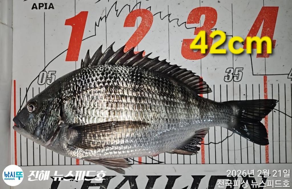 낚시뚜,,진해행암항,진해 뉴스피드호,낚시뚜6