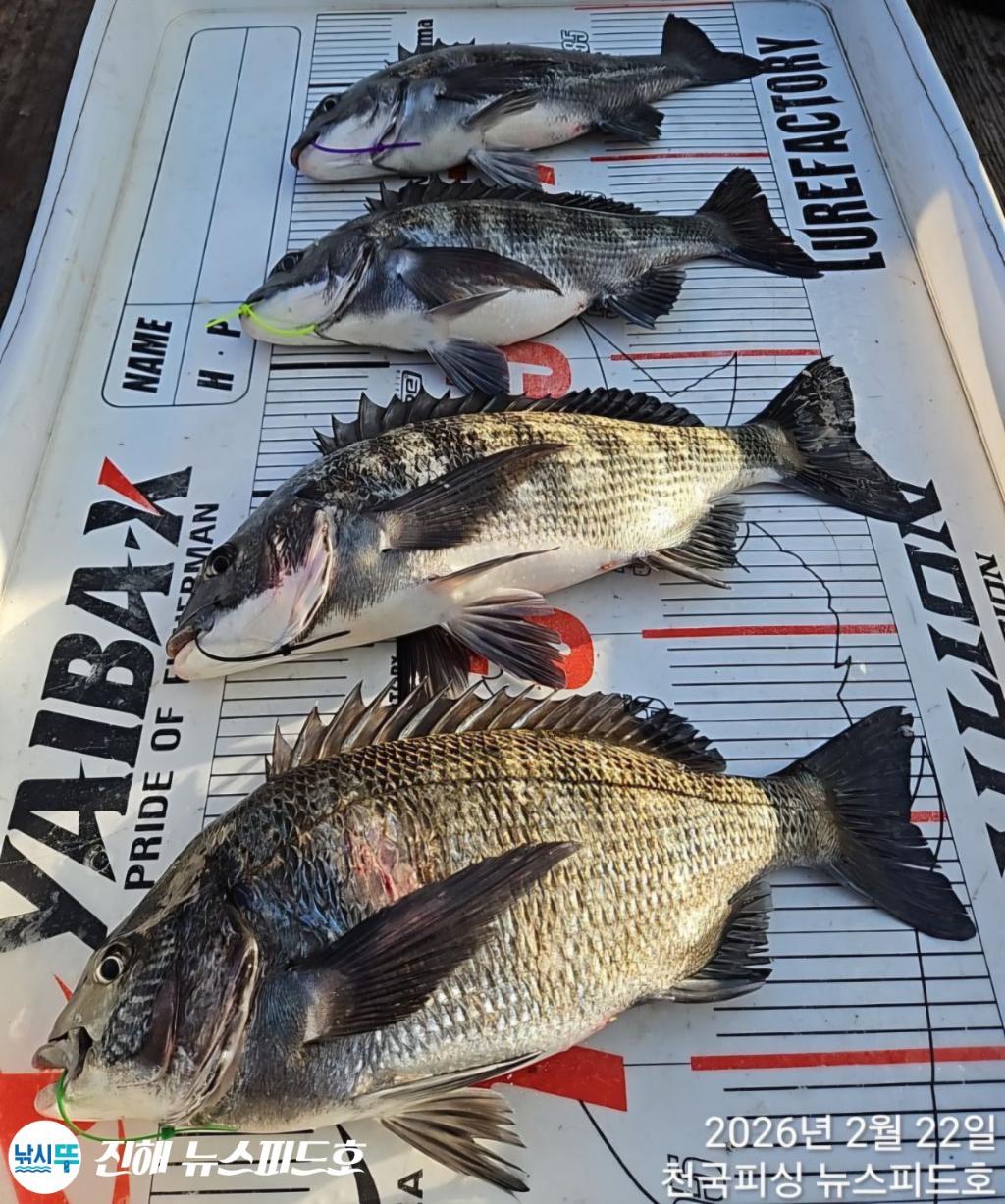 낚시뚜,,진해행암항,진해 뉴스피드호,낚시뚜5