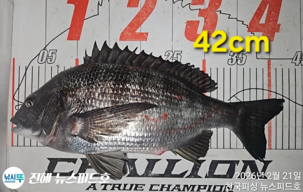 낚시뚜,,진해행암항,진해 뉴스피드호,낚시뚜3