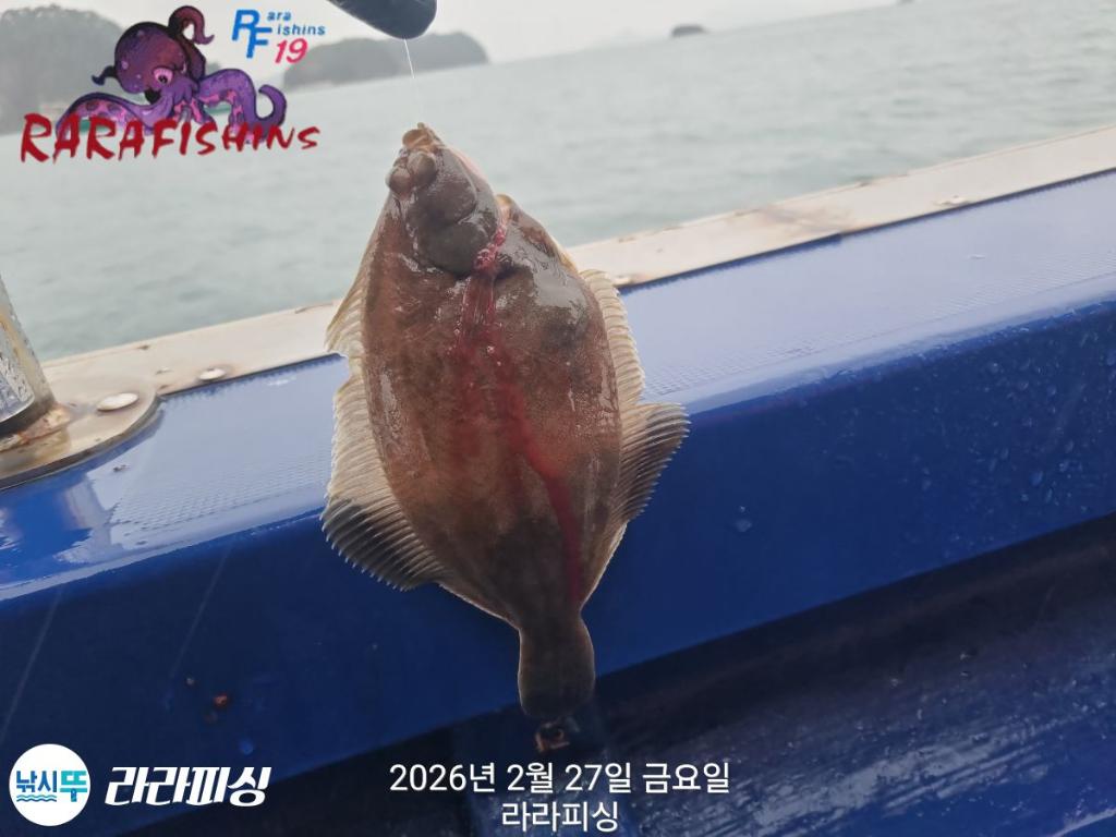 낚시뚜,낙지,도다리,속천항(진해),라라피싱,낚시뚜14