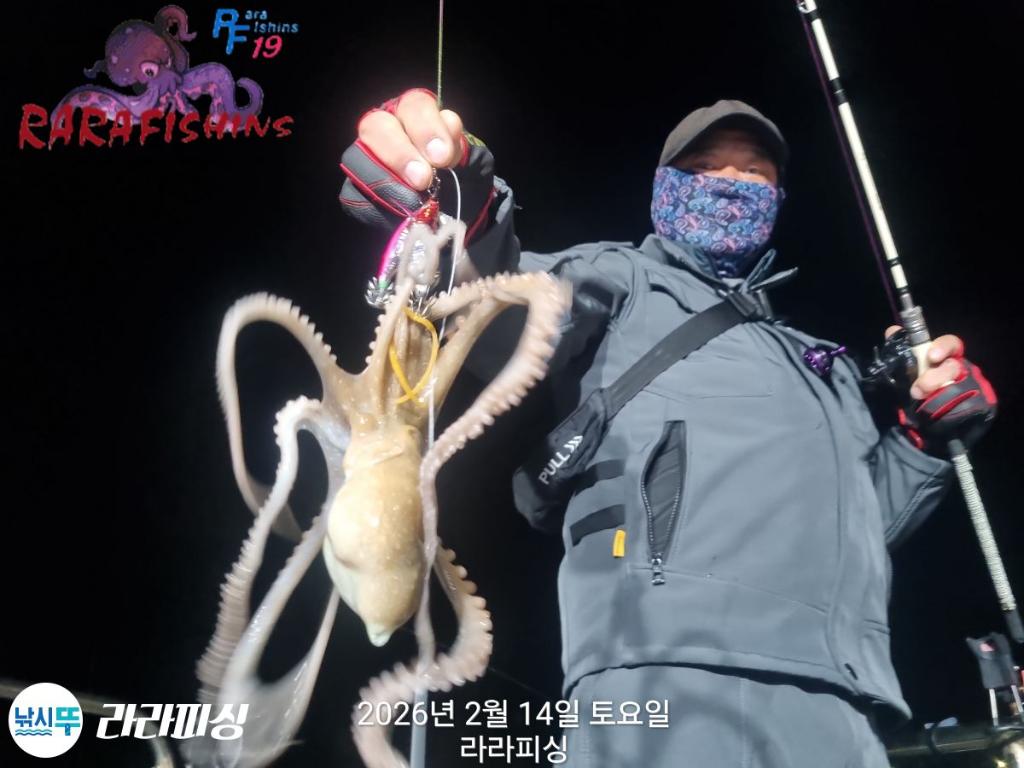 낚시뚜,낙지,도다리,속천항(진해),라라피싱,낚시뚜3