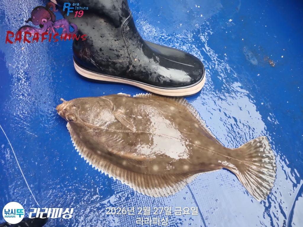 낚시뚜,낙지,도다리,속천항(진해),라라피싱,낚시뚜11