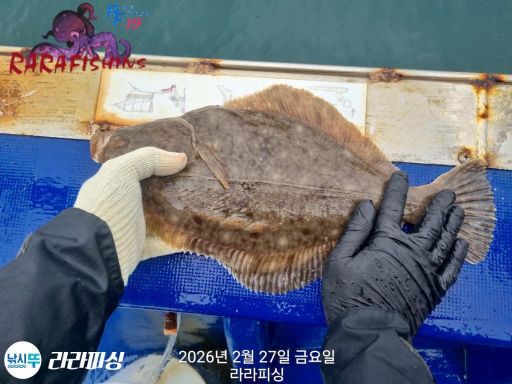 낚시뚜,낙지,도다리,속천항(진해),라라피싱,낚시뚜10