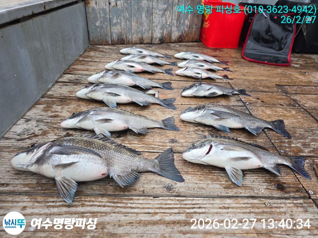 낚시뚜,감성돔,국동항,여수명랑피싱,낚시뚜5