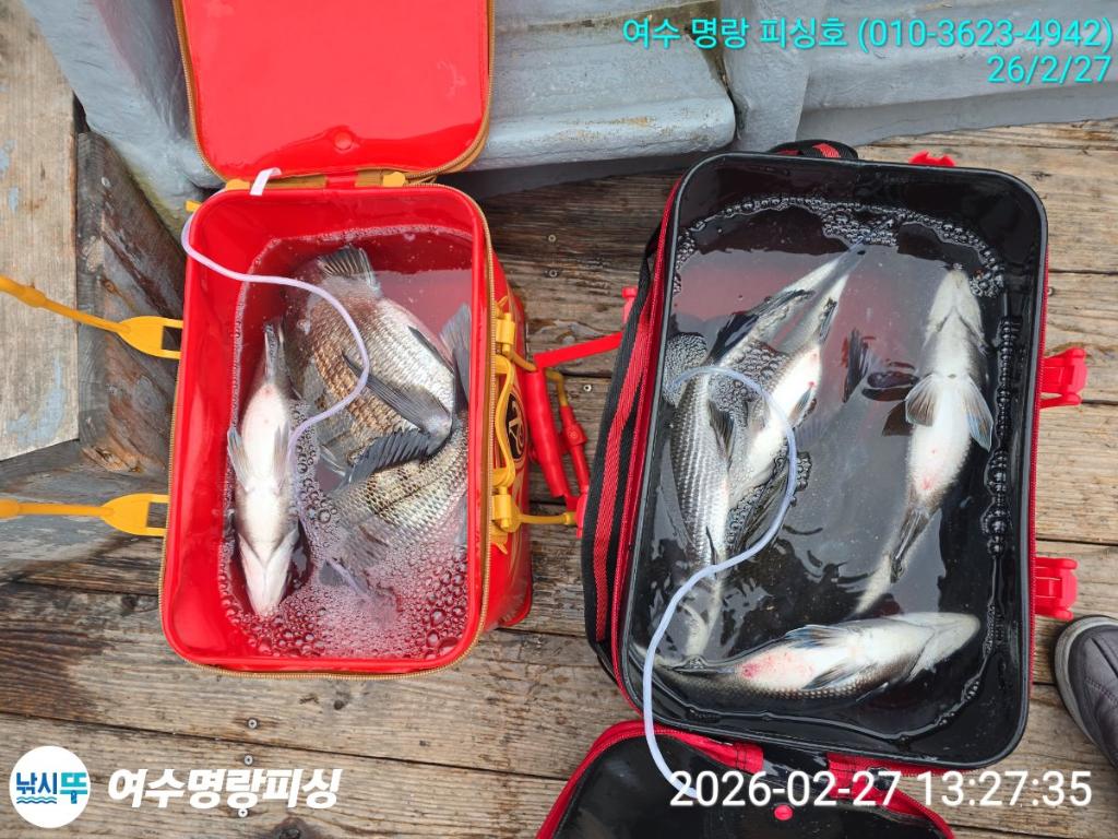 낚시뚜,감성돔,국동항,여수명랑피싱,낚시뚜3