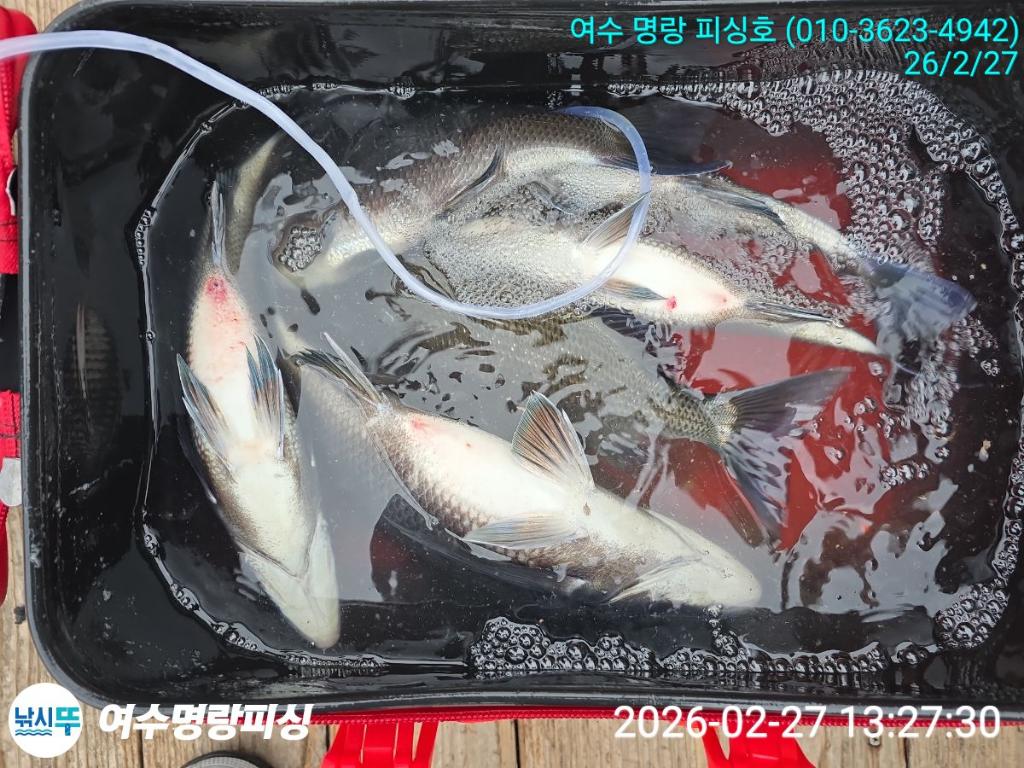 낚시뚜,감성돔,국동항,여수명랑피싱,낚시뚜2