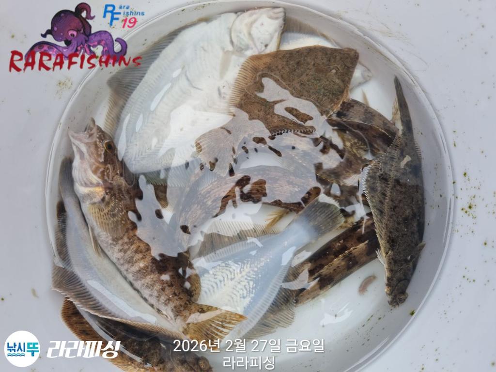 낚시뚜,낙지,도다리,속천항(진해),라라피싱,낚시뚜22