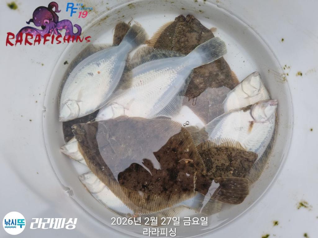 낚시뚜,낙지,도다리,속천항(진해),라라피싱,낚시뚜20