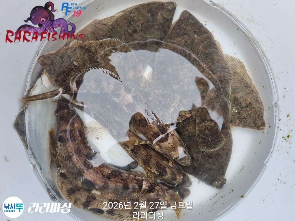 낚시뚜,낙지,도다리,속천항(진해),라라피싱,낚시뚜19