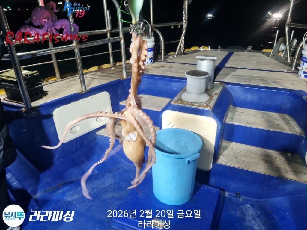 낚시뚜,낙지,도다리,속천항(진해),라라피싱,낚시뚜2
