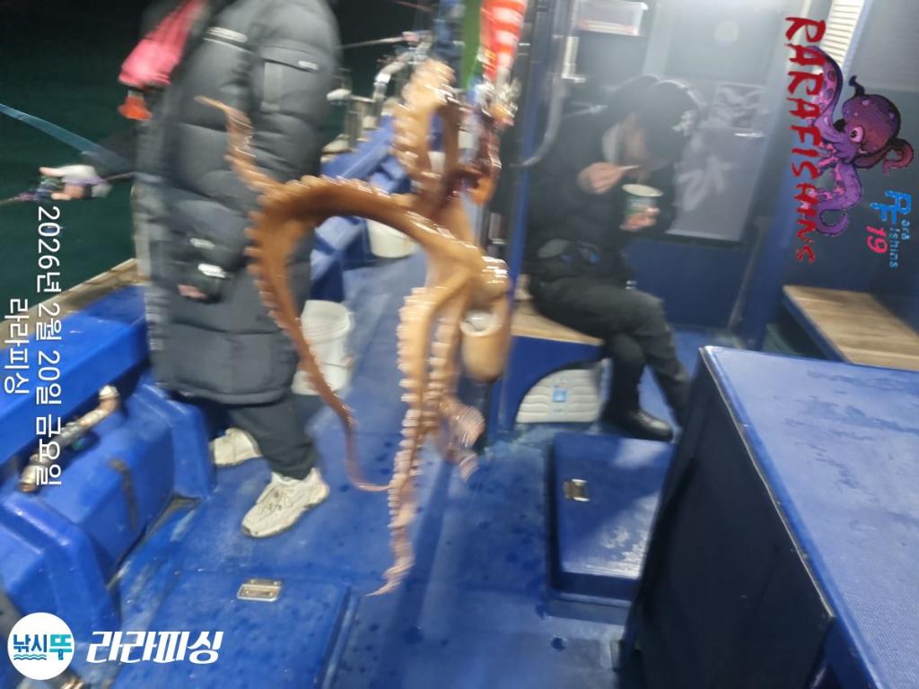 낚시뚜,낙지,도다리,속천항(진해),라라피싱,낚시뚜1
