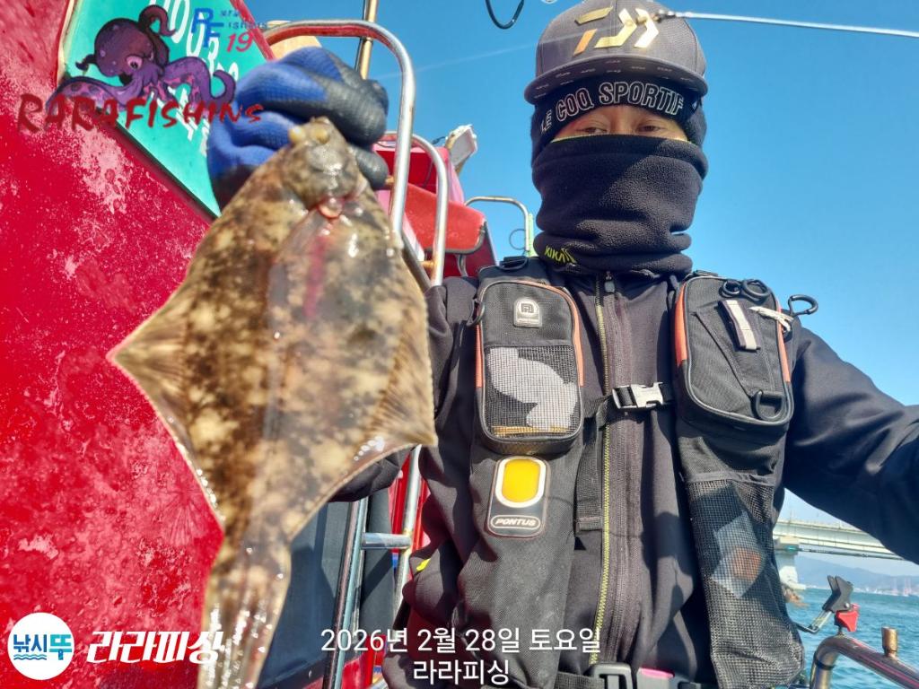 낚시뚜,도다리,속천항(진해),라라피싱,낚시뚜5