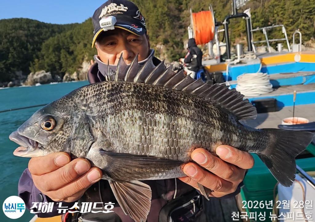 낚시뚜,감성돔,진해행암항,진해 뉴스피드호,낚시뚜12